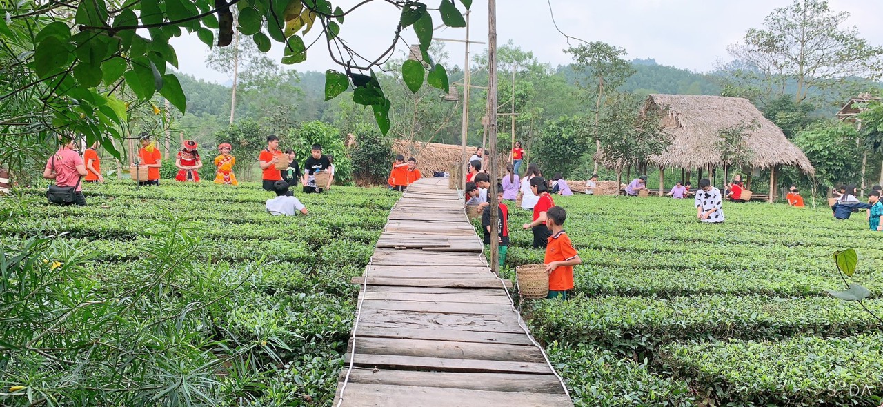 0cea6ae5c22930776938